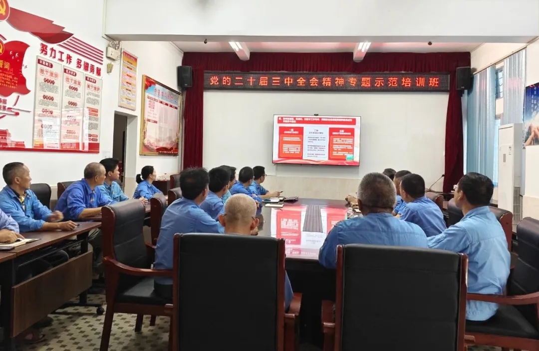 海南礦業(yè)組織觀看學(xué)習(xí)貫徹黨的二十屆三中全會精神專題示范班課堂視頻直播