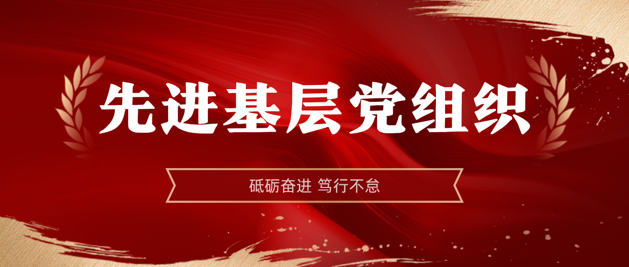 弘揚榜樣精神 | 海南礦業(yè)2024-2025年度先進基層黨組織