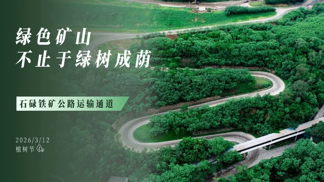 植樹節 | 綠色礦山，不止于綠樹成蔭